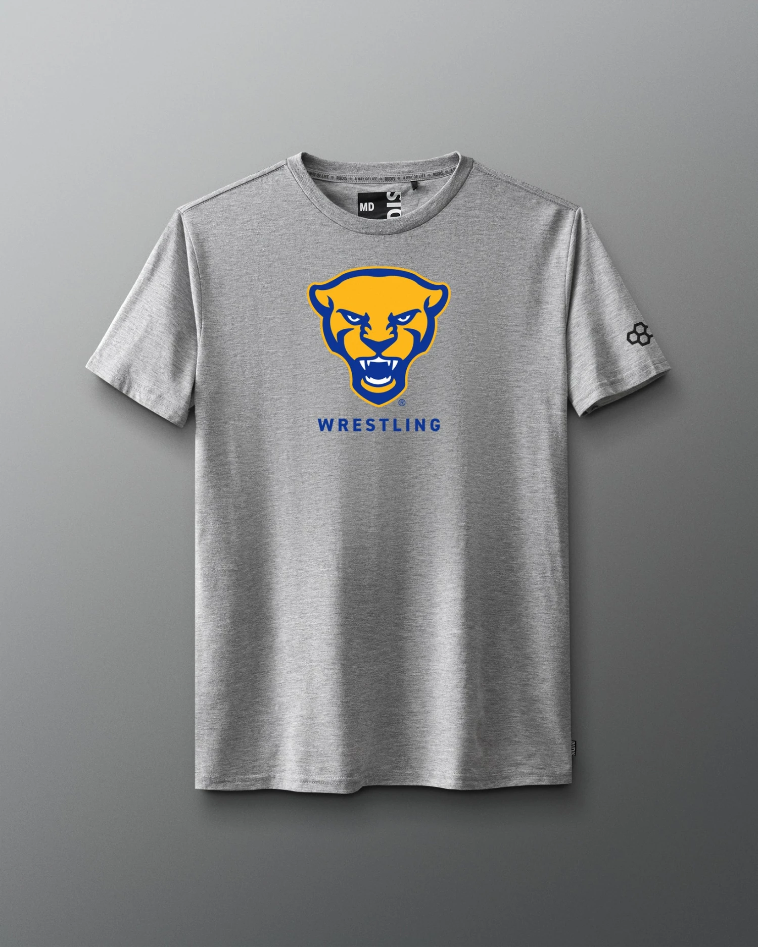 Pittsburgh Panthers T-Shirt 3 Pittsburgh Panthers T-Shirt